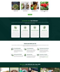 Theme wordpress bán tâm thất bắc