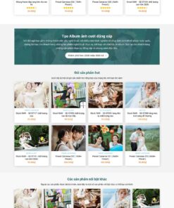 Theme wordpress bán file đồ họa stock